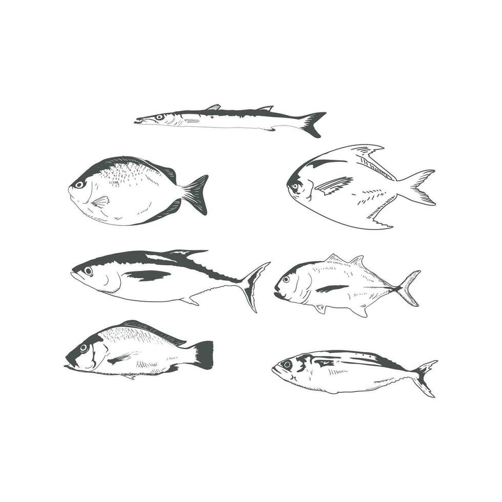 conjunto de Clásico retro conjunto colección tipo de consumo de Oceano mar pescado ilustración vector