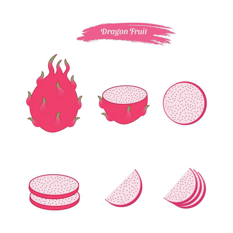 Set of whole and sliced dragon fruit vector illustration