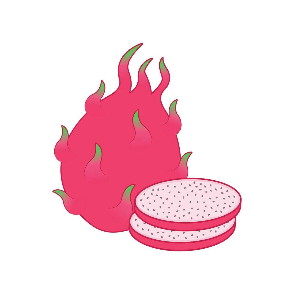 Whole and sliced dragon fruit vector illustration