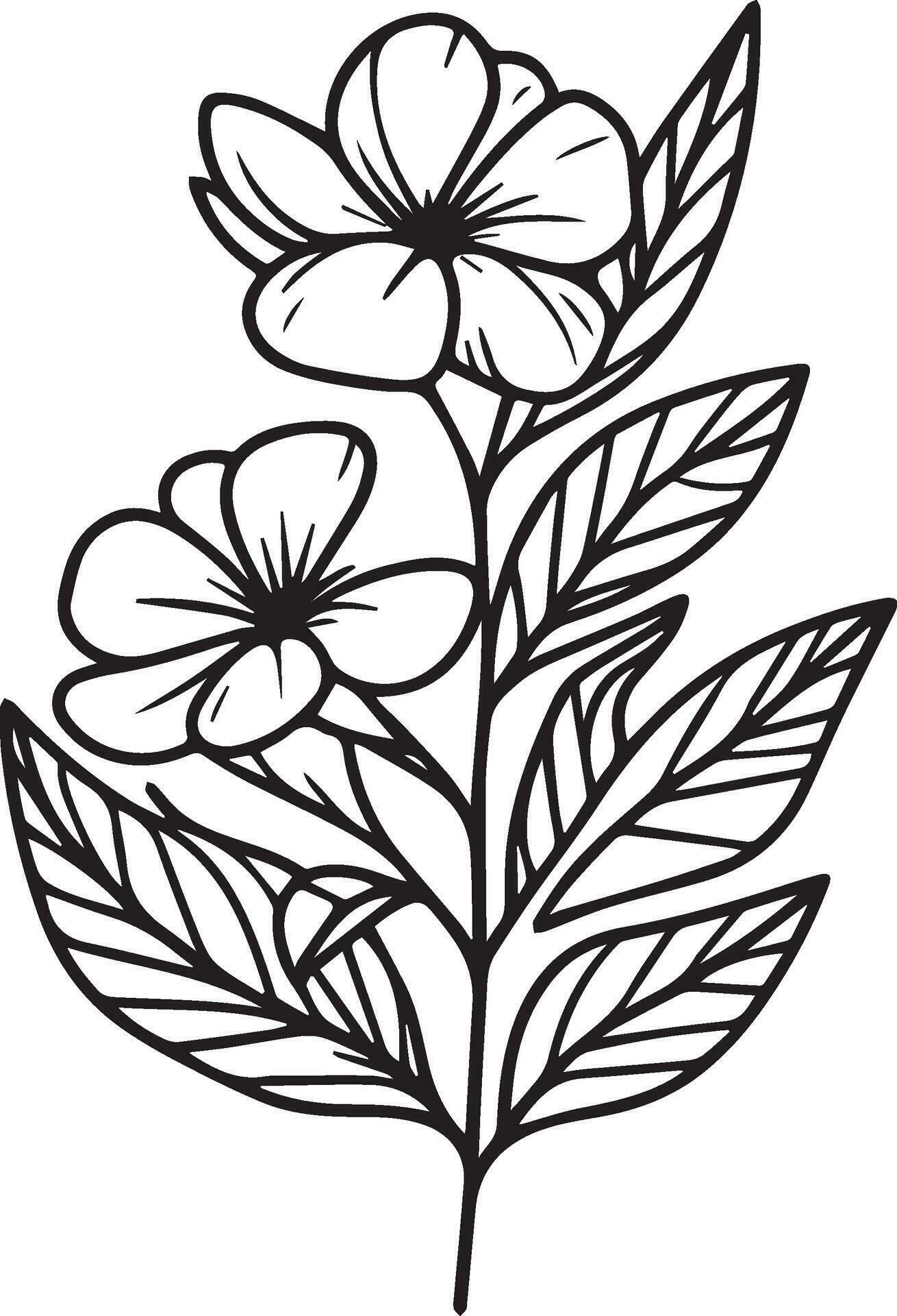 Cute kids coloring pages, easy periwinkle drawing, periwinkle flower