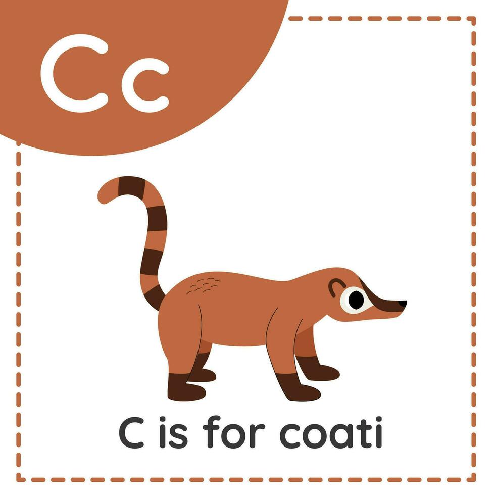 aprendizaje Inglés alfabeto para niños. letra C. linda dibujos animados coatí. vector