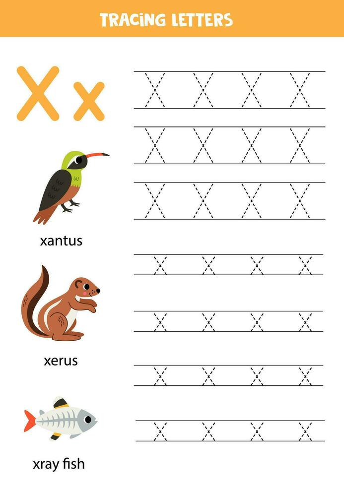 Tracing alphabet letters for kids. Animal alphabet. Letter x is for xantus xerus xray fish. vector