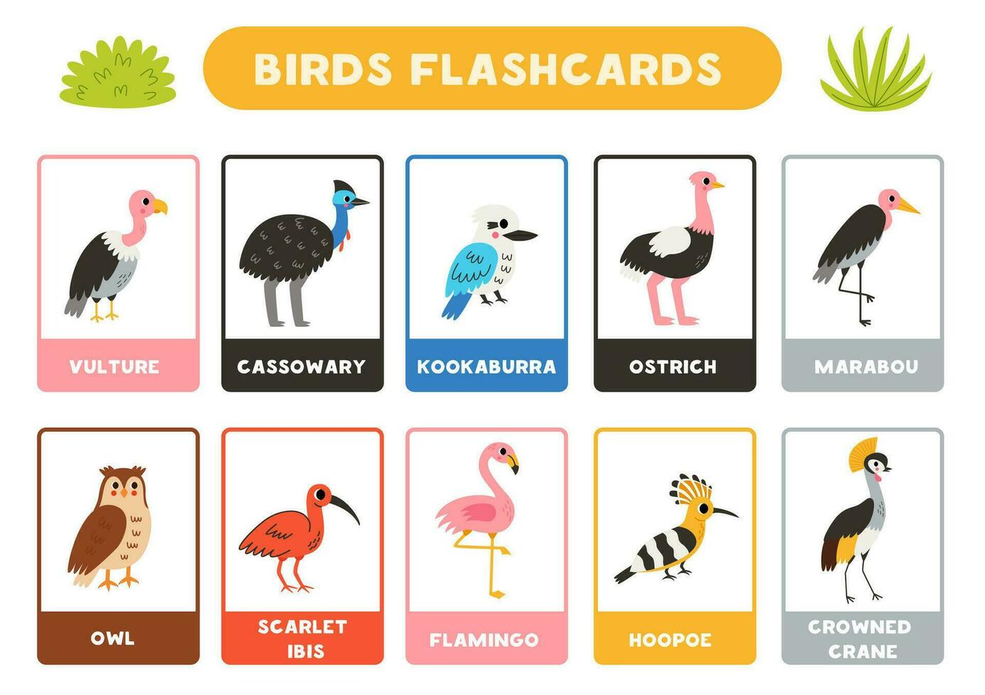 Cute birds with names. Flashcards for learning English. vector