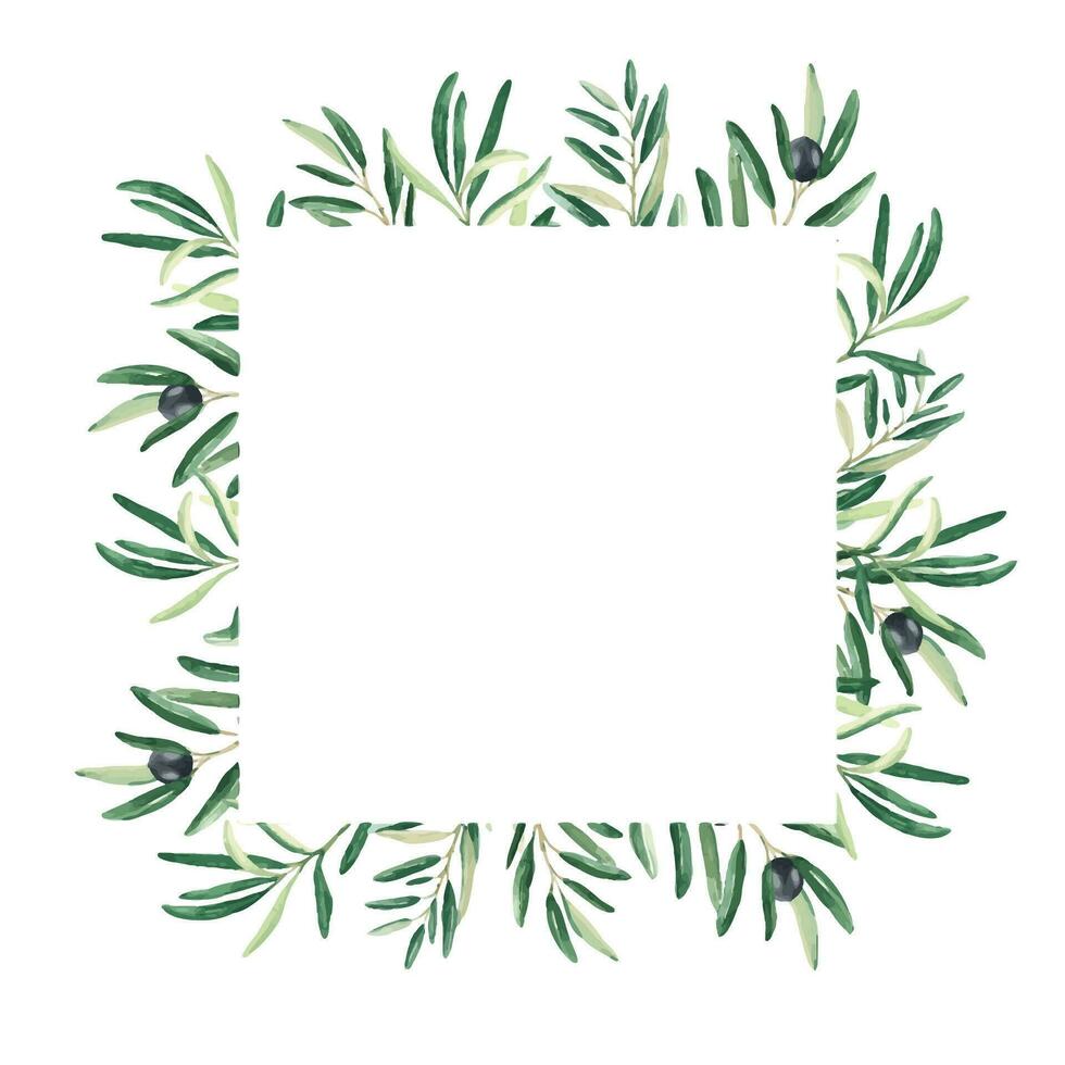 Olive tree square frame. Black olives and branches. Hand drawn watercolor botanical illustration. Can be used for cards, logos and cosmetic design. vector