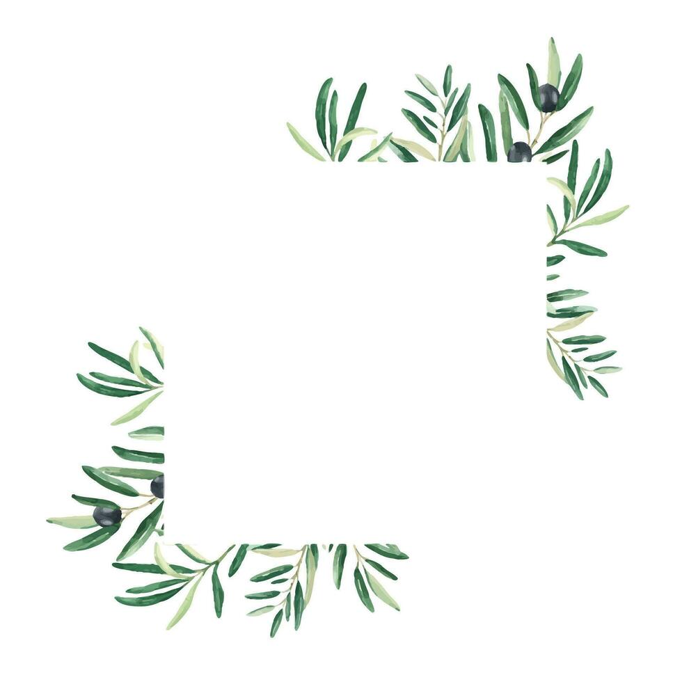 Olive tree square frame. Black olives and branches. Hand drawn watercolor botanical illustration. Can be used for cards, logos and cosmetic design. vector
