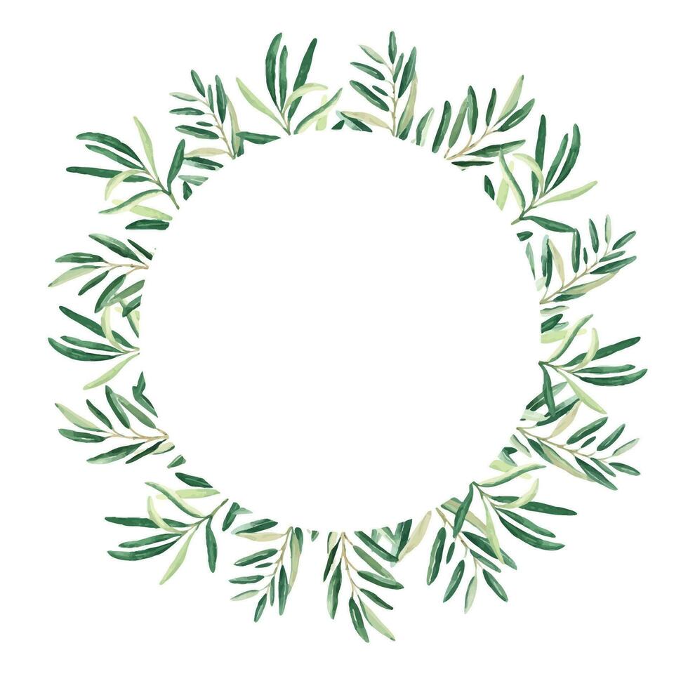 Watercolor olive wreath, circle frame or border. Hand drawn botanical illustration. Can be used for cards, logos and cosmetic design. vector