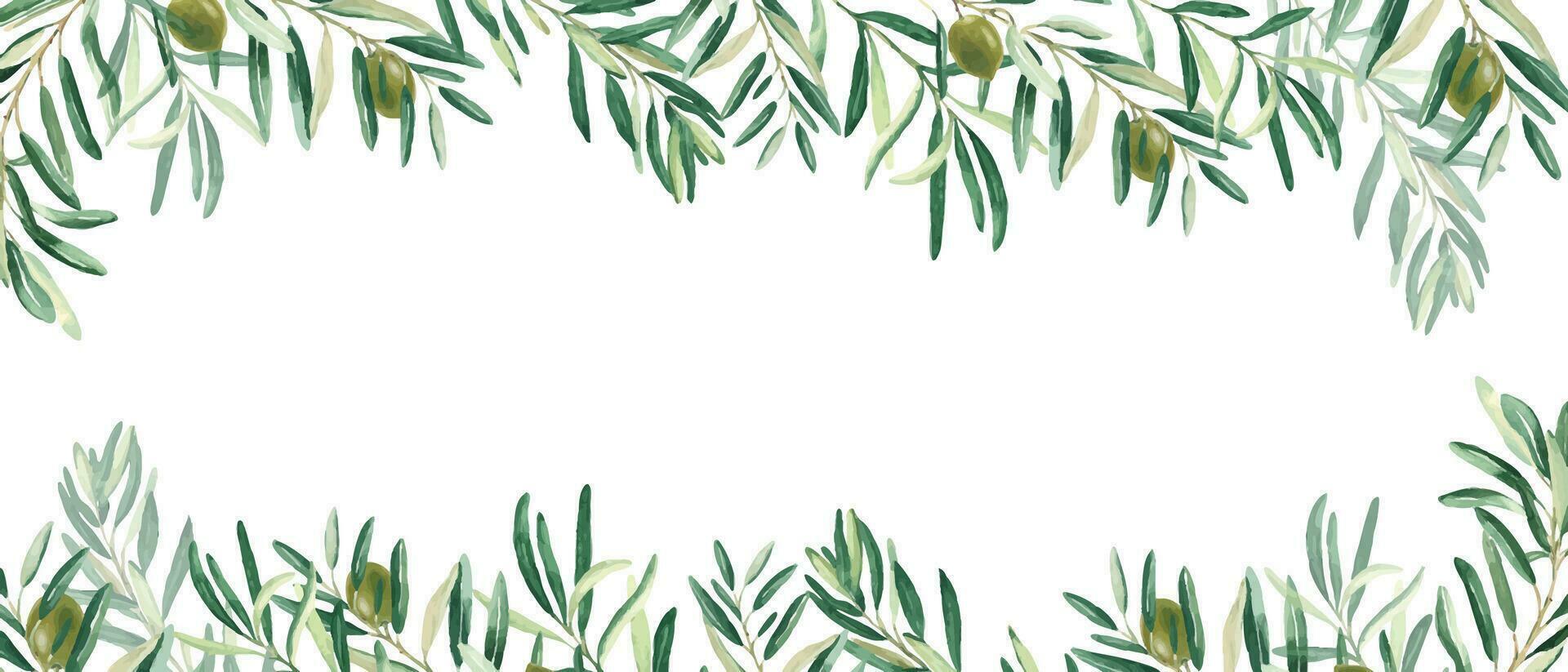 Horizontal frame, border with olive branches and green fruits. Watercolor hand drawn illustration. Perfect as a web banner, card and invitation template, for menu design. vector