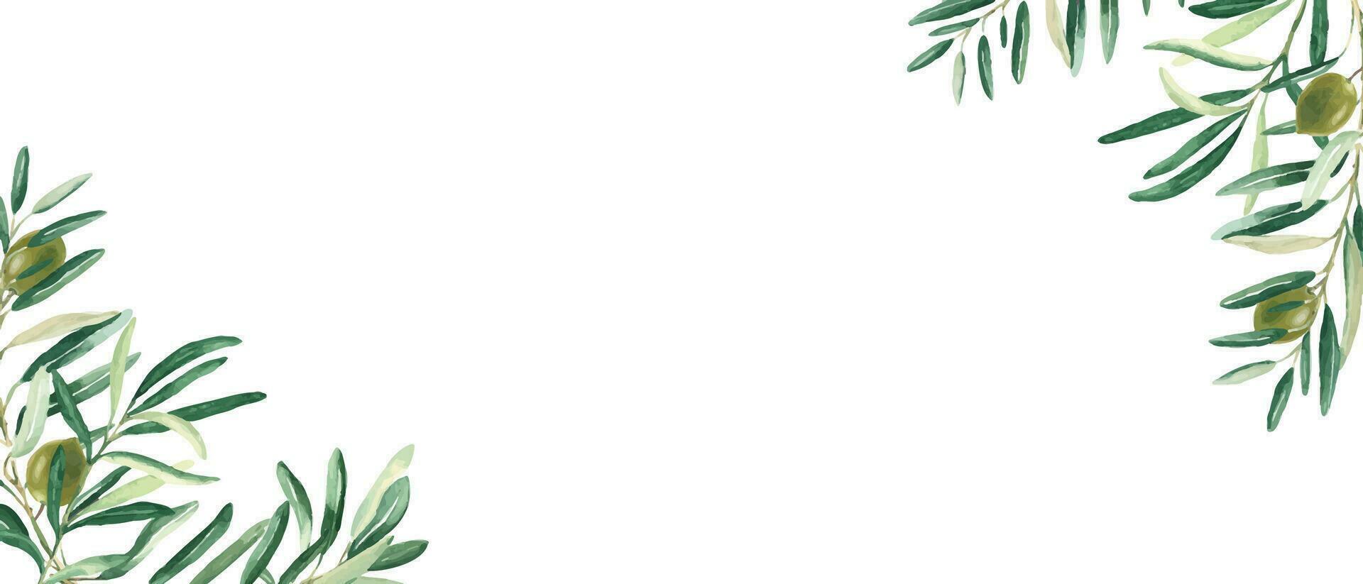 horizontal marco, frontera con aceituna ramas rincones y verde frutas acuarela mano dibujado ilustración. Perfecto como un web bandera, tarjeta y invitación plantilla, para menú diseño. vector