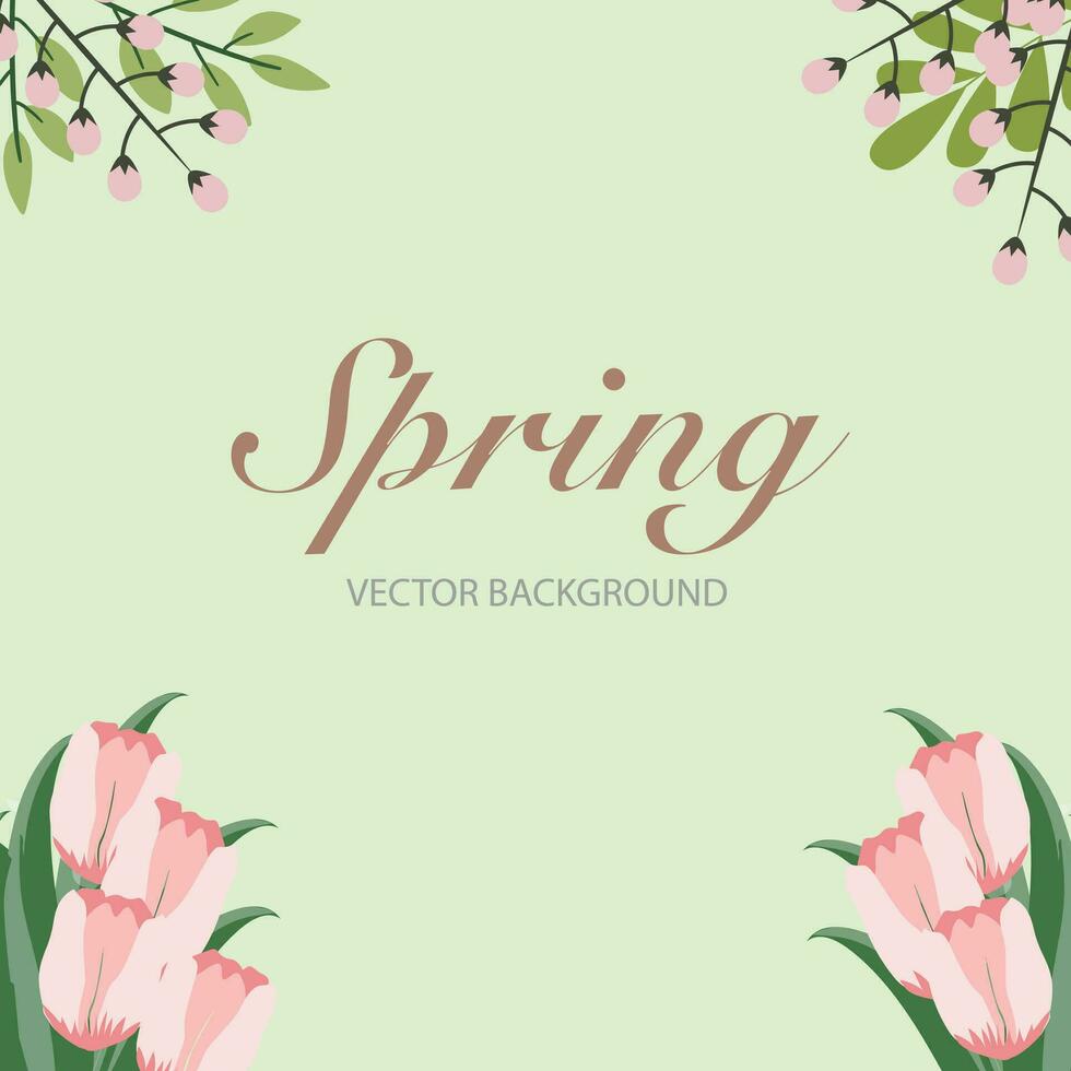 Spring vector background. Tulips, plants, leaves and flowers. Vector illustrations of beautiful realistic flowers for background, pattern, banners, wallpaper, flyers, invitation, posters