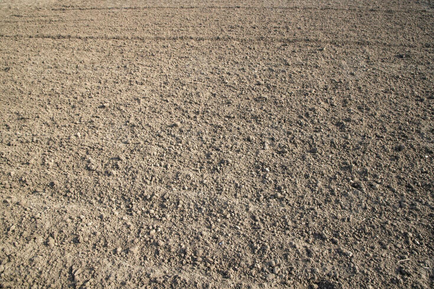 Brown crushed soil peat field abstract texture may be used as a  background wallpaper photo