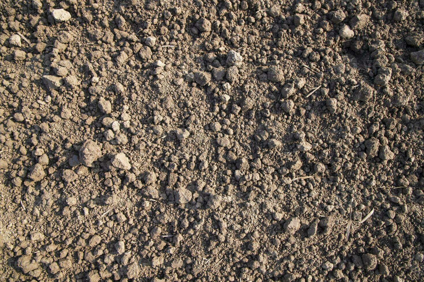 Brown crushed soil peat field abstract texture may be used as a  background wallpaper photo