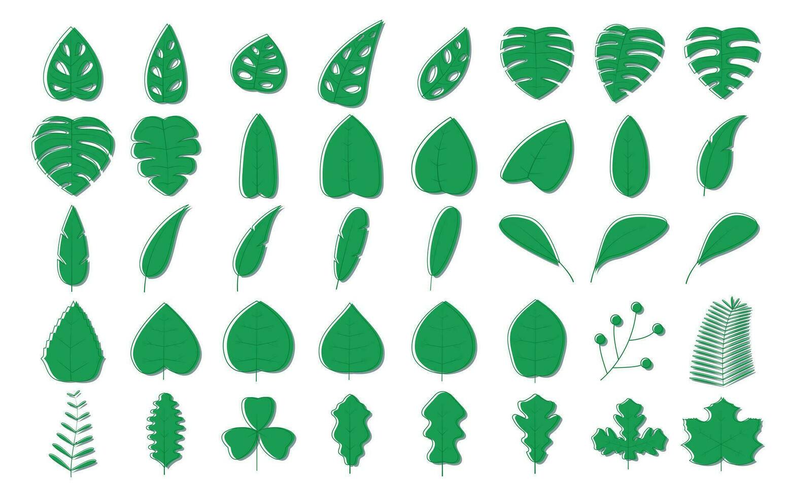set of green leaves with outline vector