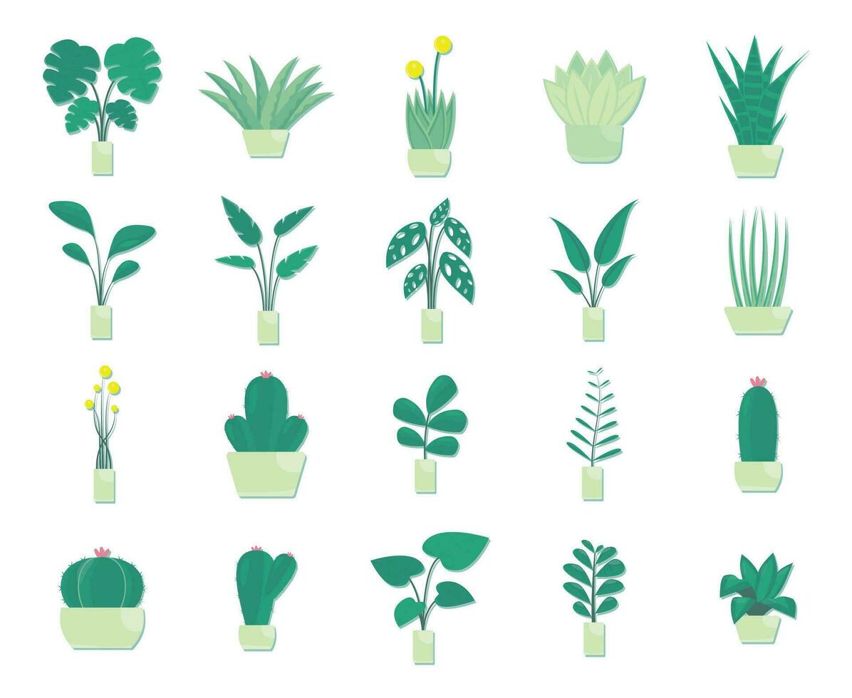 set of beautiful plants vector