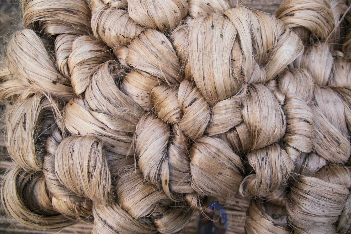 Thick Golden bundle of raw jute fiber abstract Pattern Texture Can be used as a Background wallpaper. This is the Called Golden Fiber in Bangladesh photo