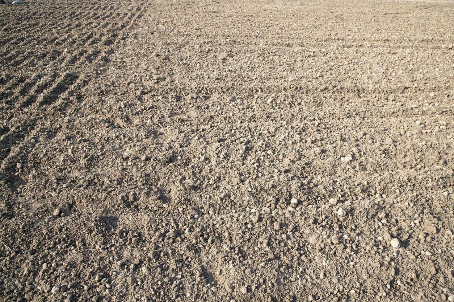 Brown crushed soil peat field abstract texture may be used as a  background wallpaper photo