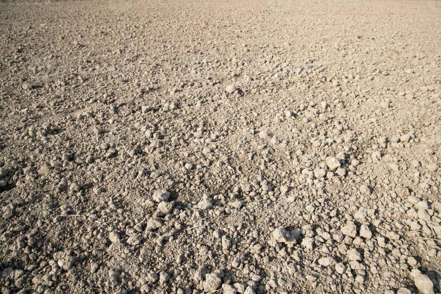 Brown crushed soil peat field abstract texture may be used as a  background wallpaper photo