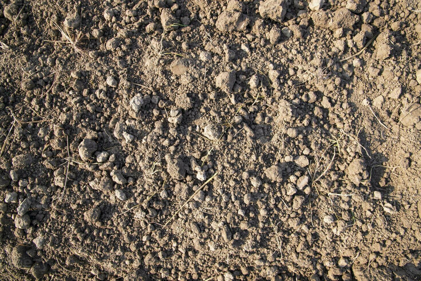 Brown crushed soil peat field abstract texture may be used as a  background wallpaper photo