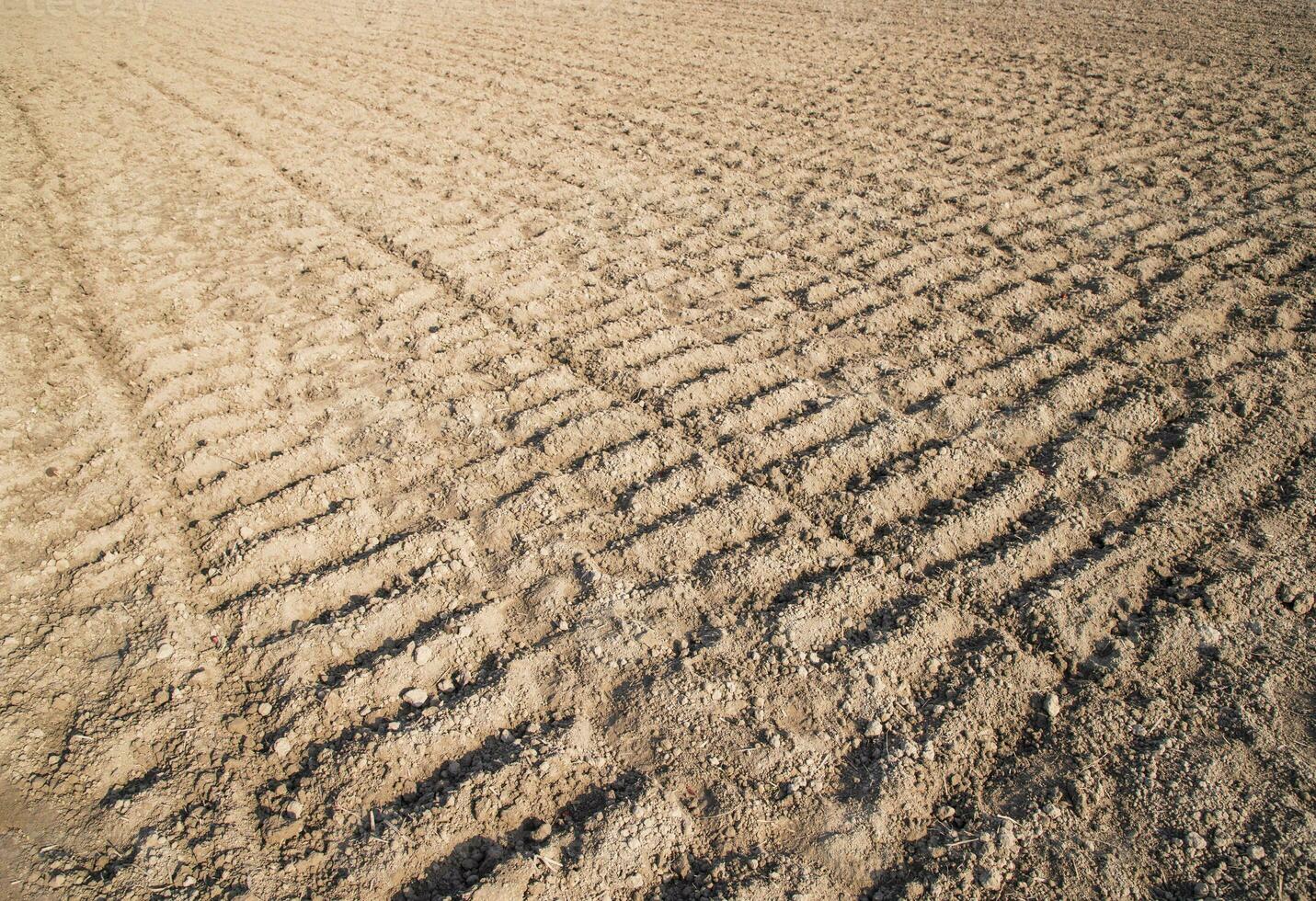 plowed soil  in a field during preparation for onion seed sowing in Bangladesh photo