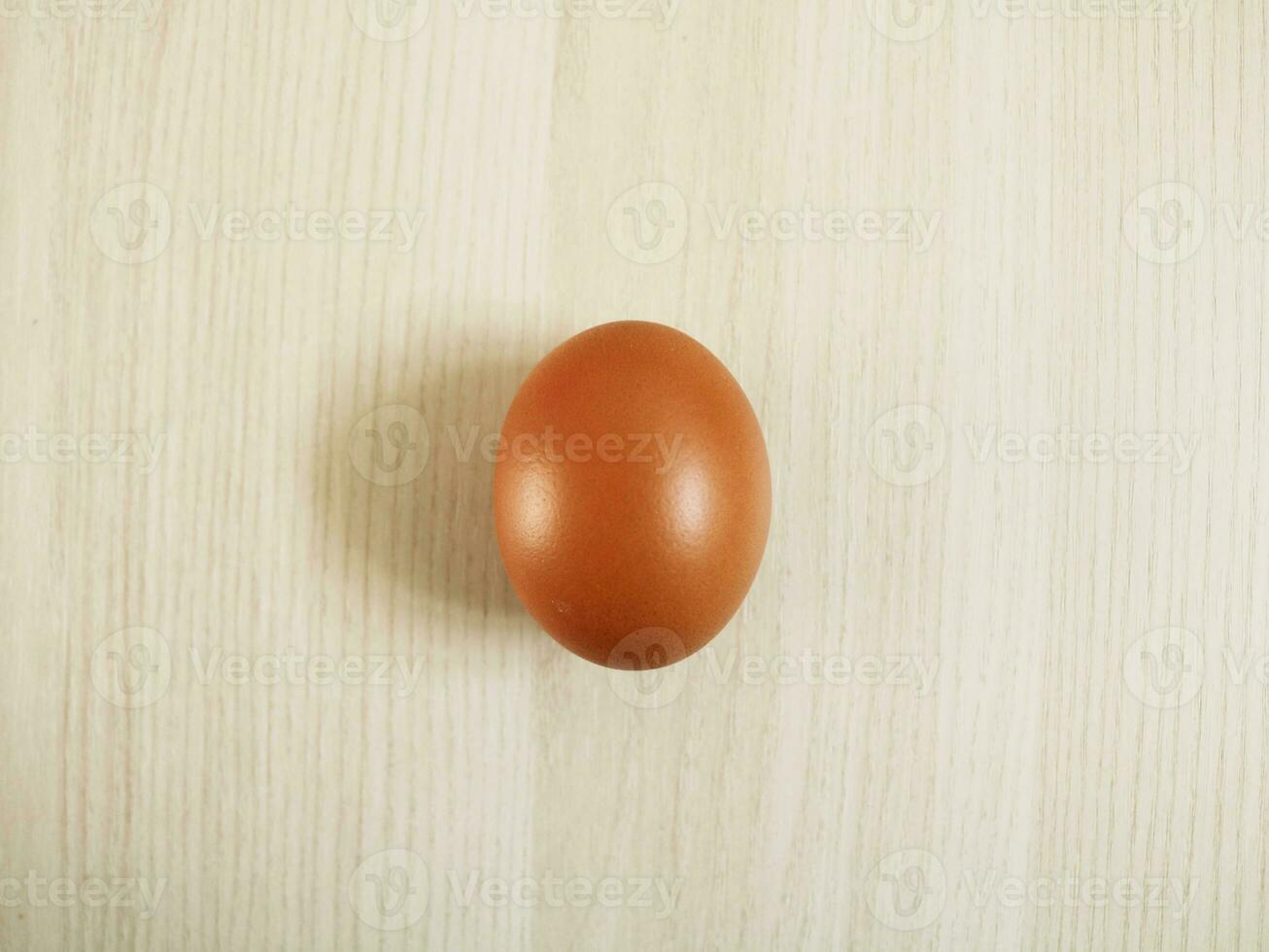 The Egg Image photo
