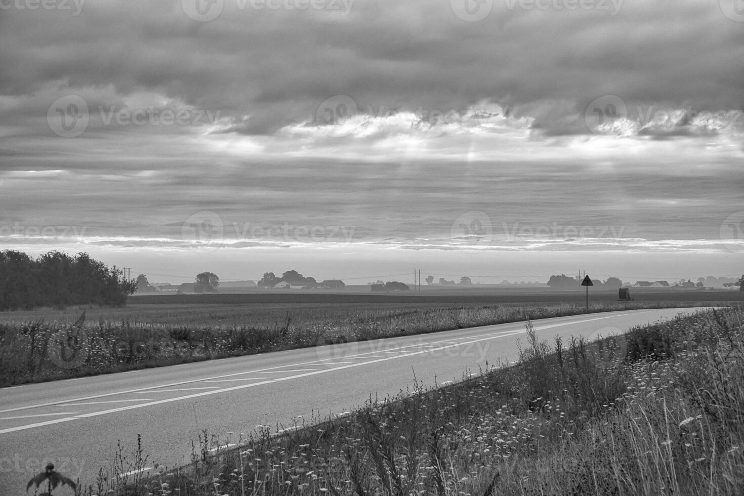 Country road with curve leads through agricultural fields in black and white photo