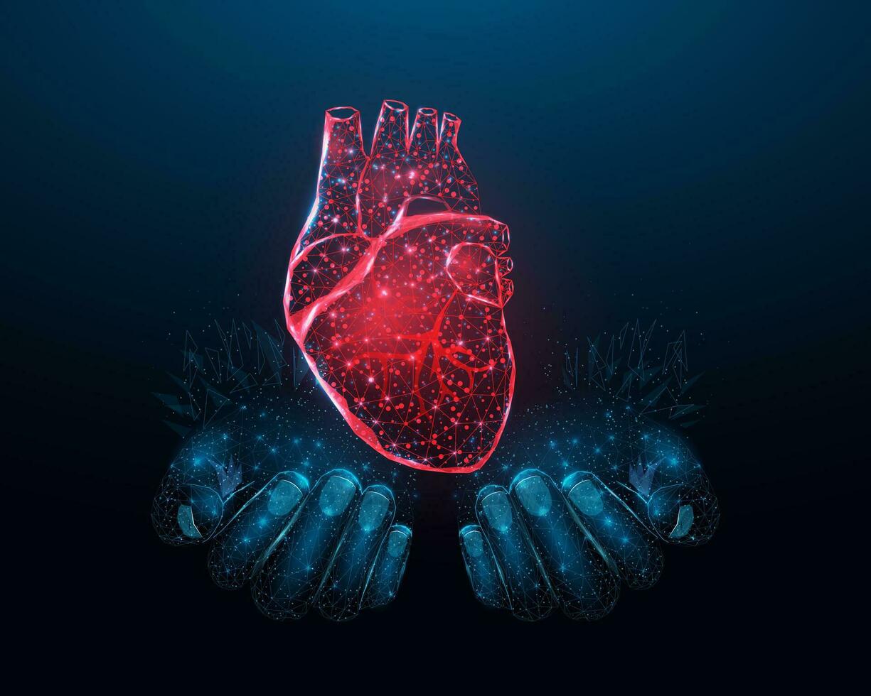 Two human hands are holds a red heart. Wireframe glowing low poly heart. Design on dark blue background. Abstract futuristic vector illustration.