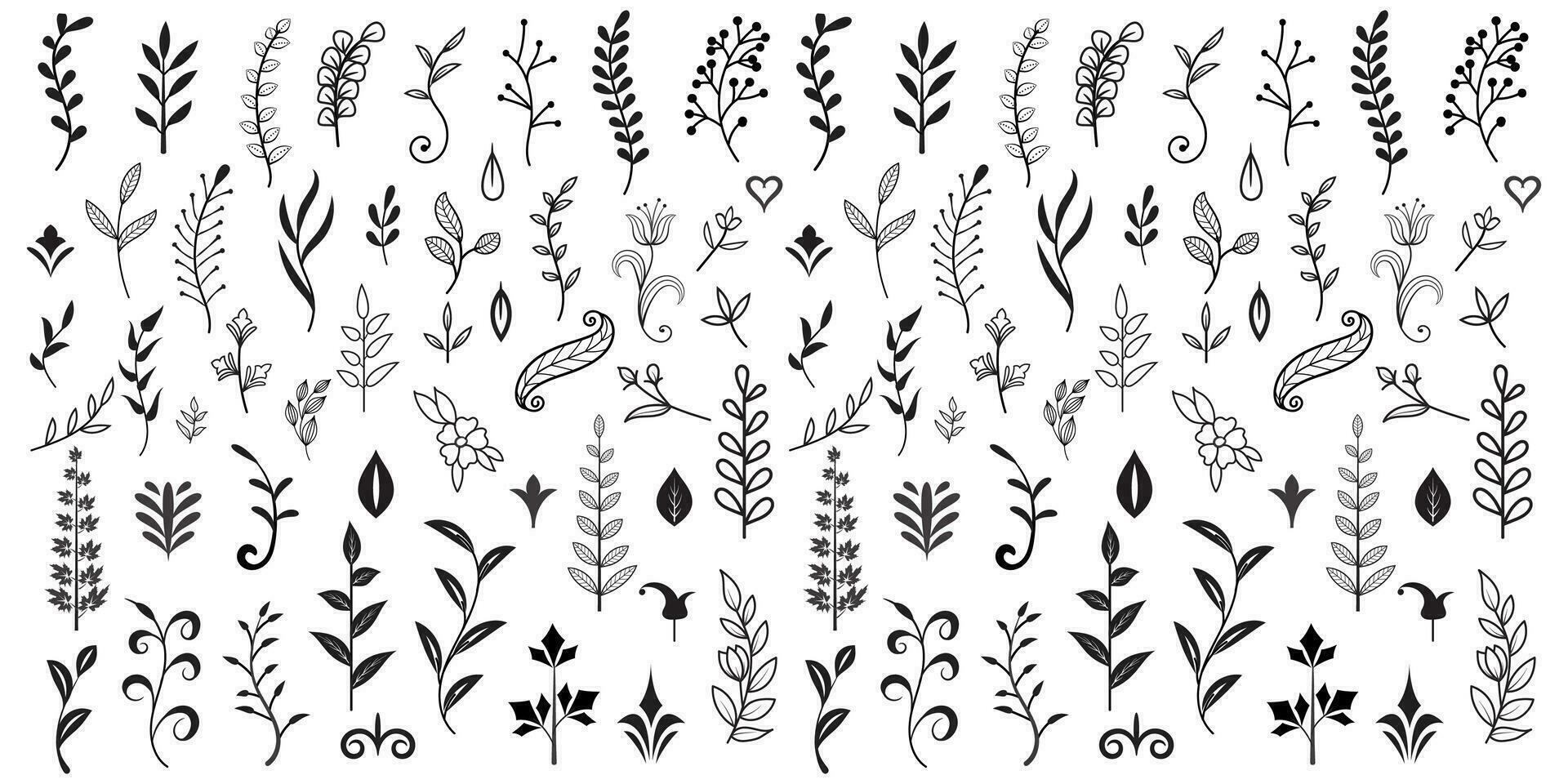 Vector graphic elements for design vector elements. Swirl elements decorative illustration. Classic calligraphy swirls, greeting cards, wedding invitations, royal certificates and graphic design.