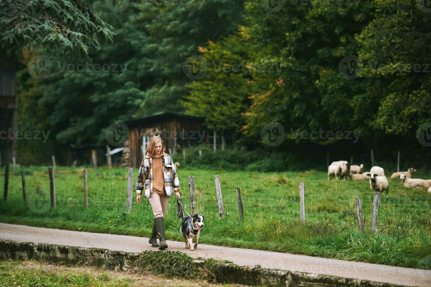 Farm landscape, young woman walking with australian shepherd dog photo