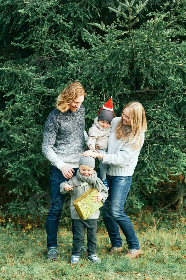 Outdoor portrait of beautiful happy young family of 4 posing in pine forest, wearing warm pullovers, couple with toddler boy and baby girl having good time at nature, cold weather, Christmas theme photo