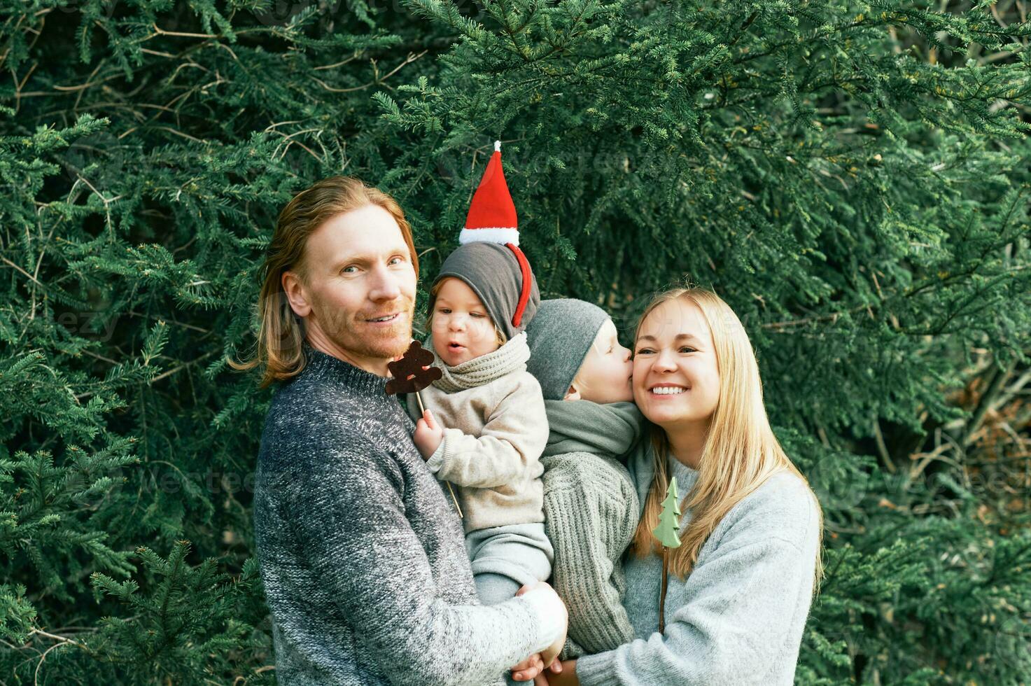 Outdoor portrait of beautiful happy young family of 4 posing in pine forest, wearing warm pullovers, couple with toddler boy and baby girl having good time at nature, cold weather, Christmas theme photo
