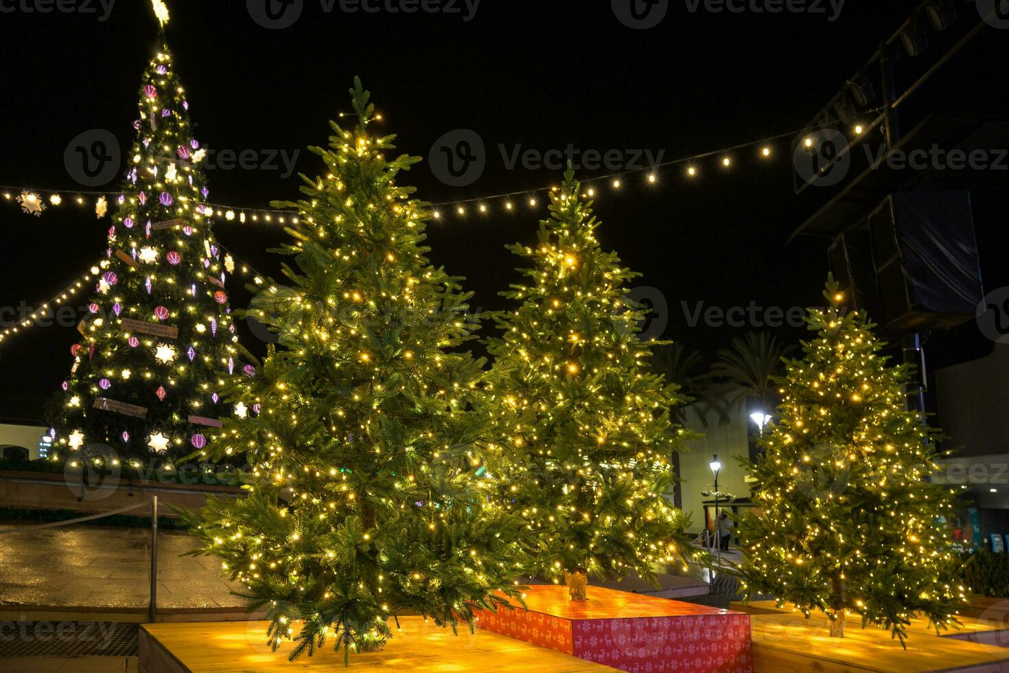 el territorio cerca el casa es decorado para Navidad. En Vivo Navidad árbol abeto, pino, abeto en ollas. foto