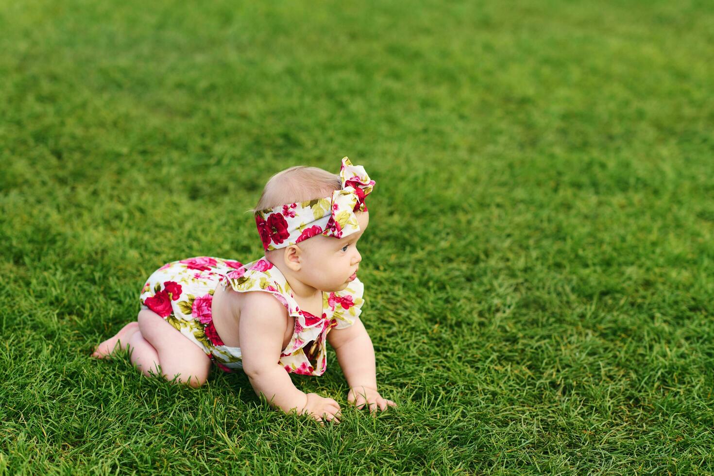 al aire libre retrato de adorable 6 6 meses antiguo bebé niña jugando en verano parque, niño gateando en Fresco verde césped foto