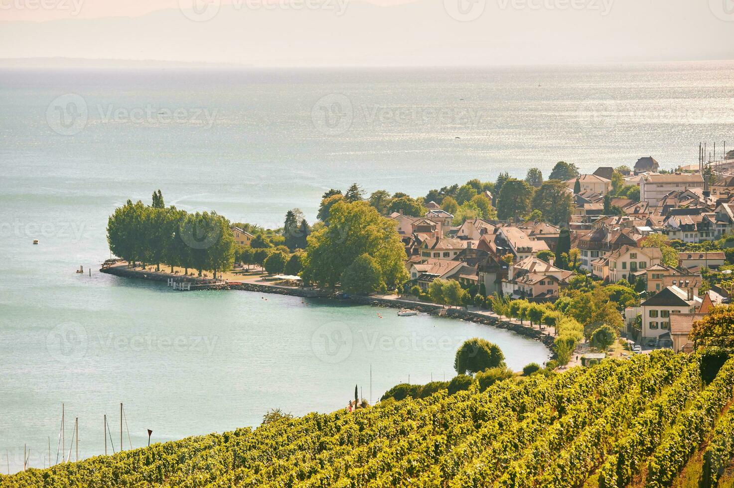 Aerial view of Lavaux vineyards and Cully town, canton of Vaud, Switzerland photo
