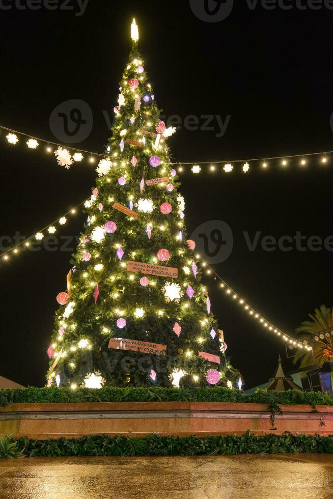 Christmas tree at Pra a do Com rcio in Mallorca photo