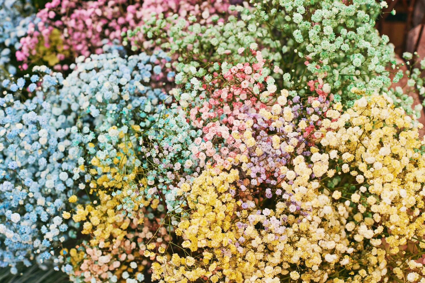 vistoso Gypsophila flores, enorme ramo de flores con muchos diferente colores foto