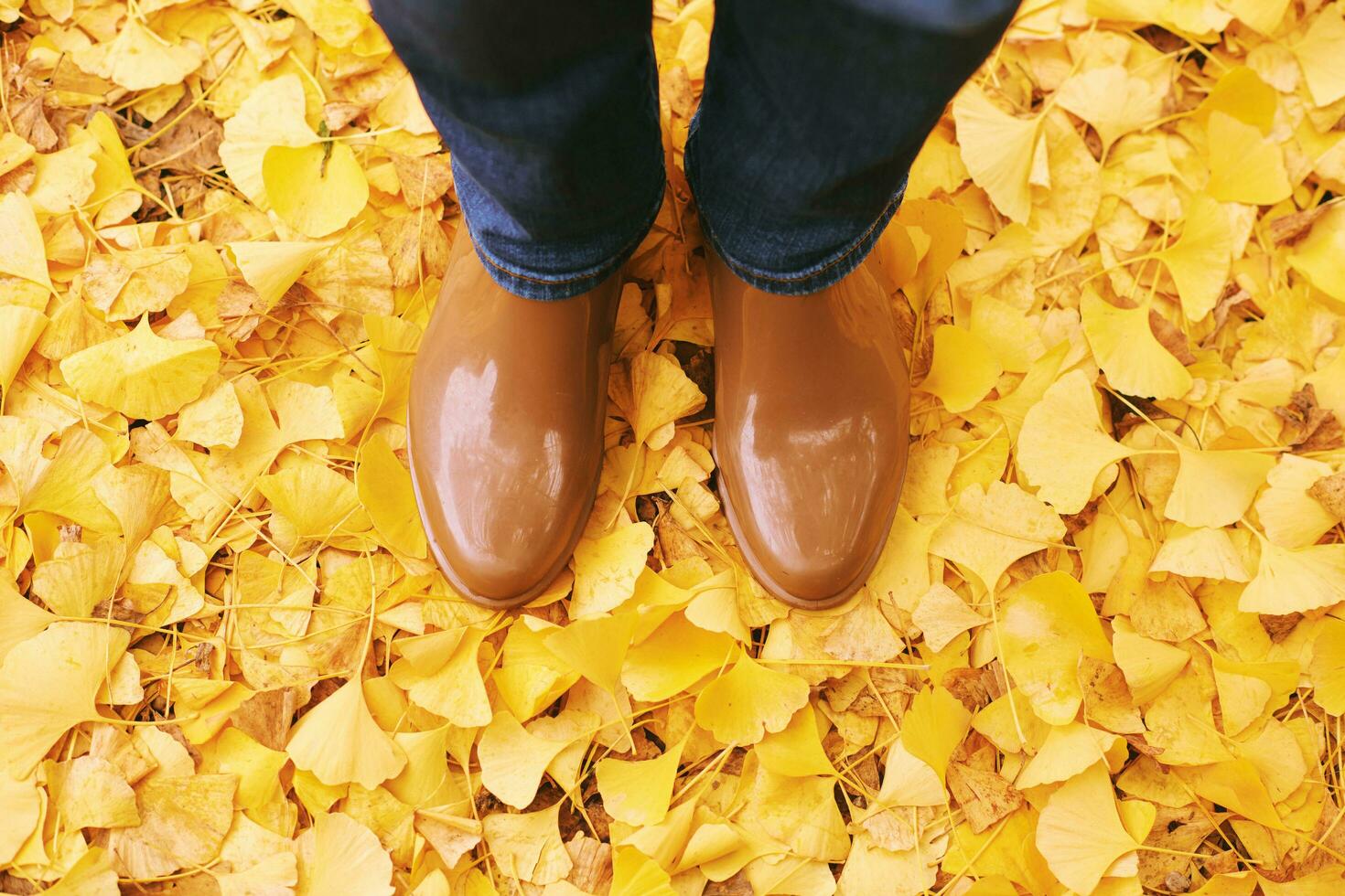 parte superior ver de mujer lluvia botas, niña en pie en suelo lleno de otoño hojas foto