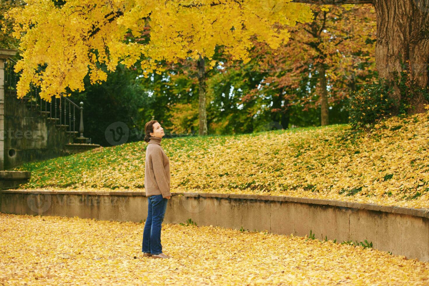 otoño retrato de hermosa maduro mujer, relajante en dorado otoño parque foto