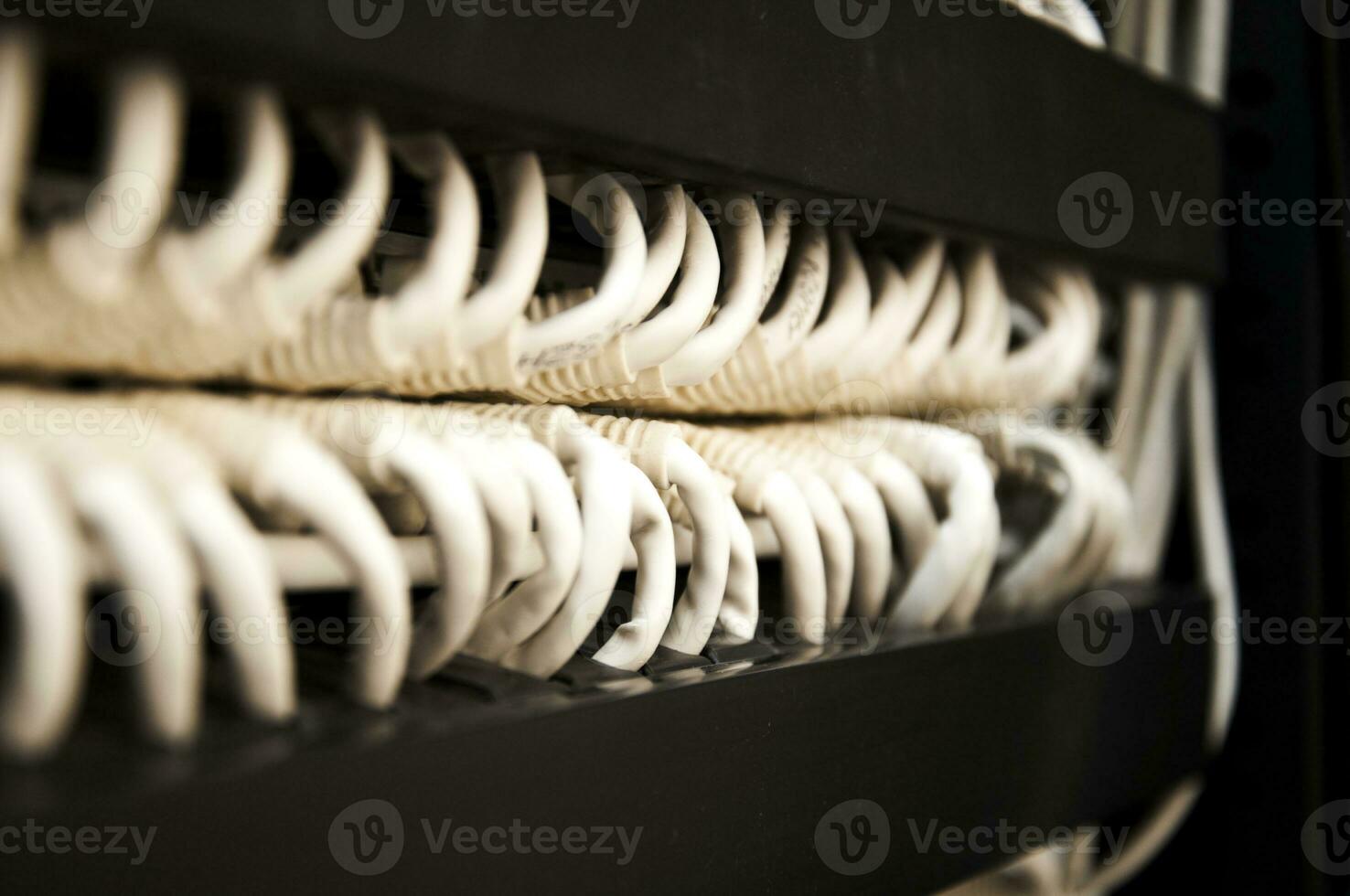 Network cables in data center photo