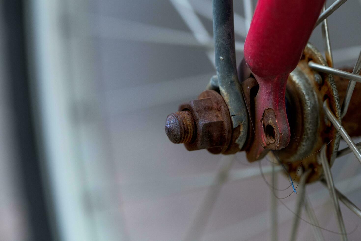 Rust on the screw photo