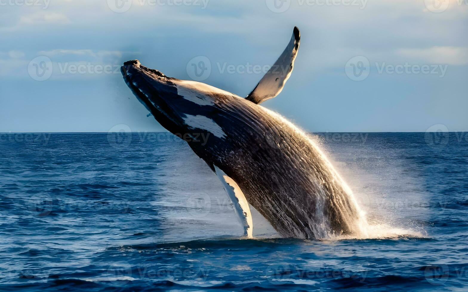 AI generated Majestic Symphony, Whales in Awe-inspiring Ocean Ballet photo