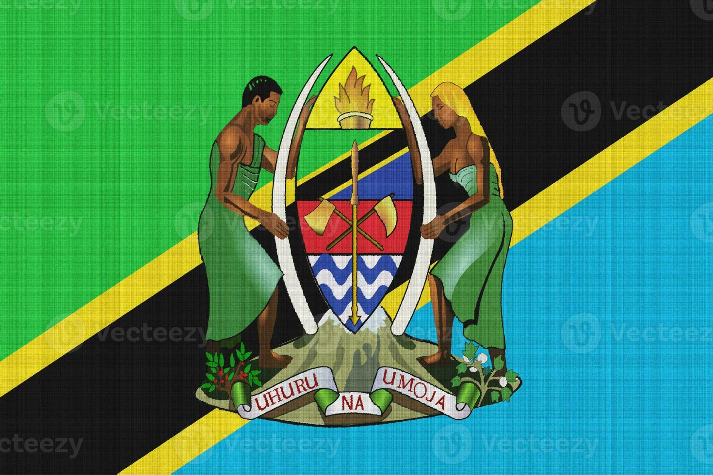 Flag and coat of arms of United Republic of Tanzania on a textured background. Concept collage. photo