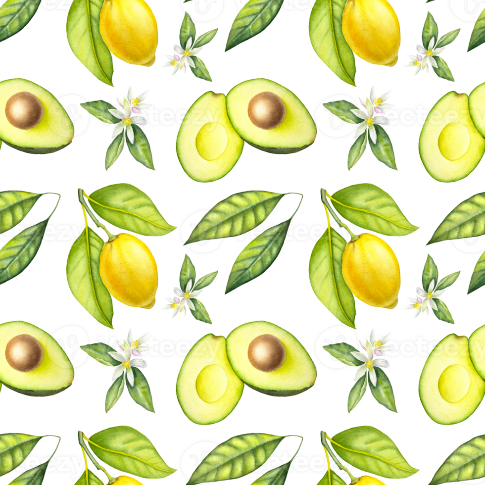 Seamless watercolor pattern with avocado, avocado leaves, lemon and lemon flowers on the transparent background. png