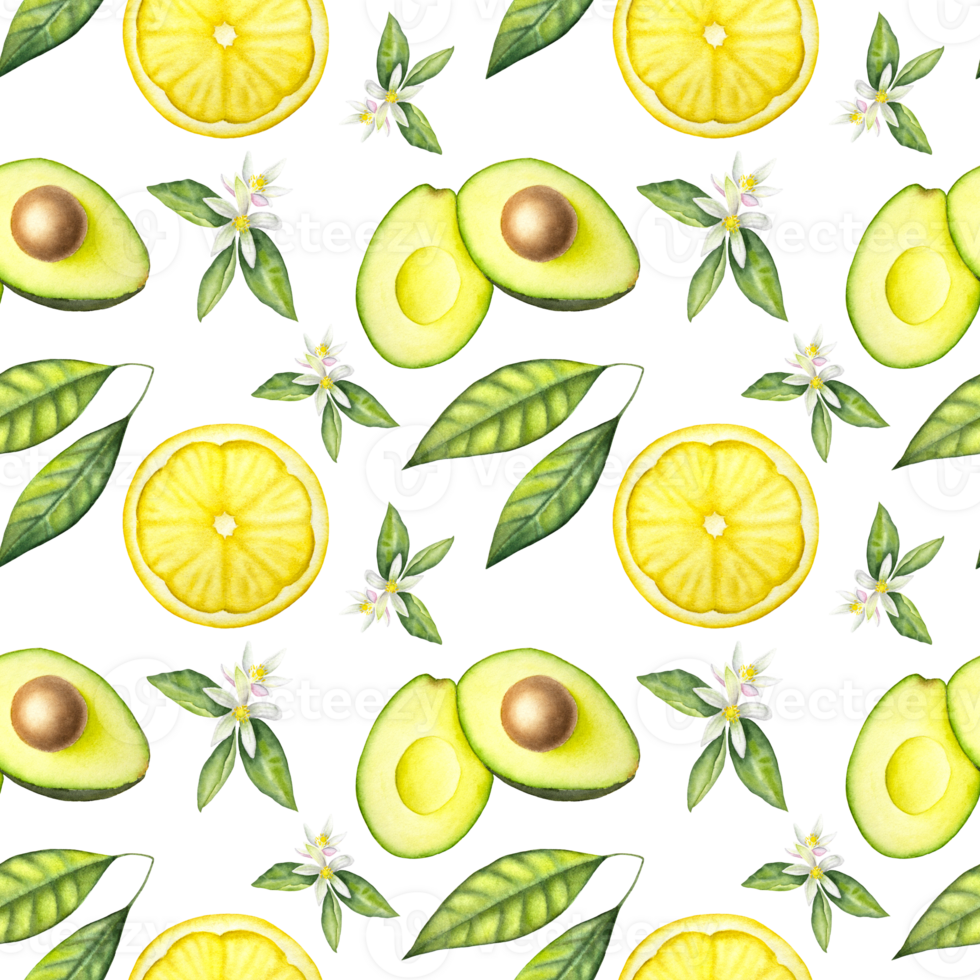 Seamless watercolor pattern with avocado, avocado leaves, lemon and lemon flowers on the transparent greed background. png