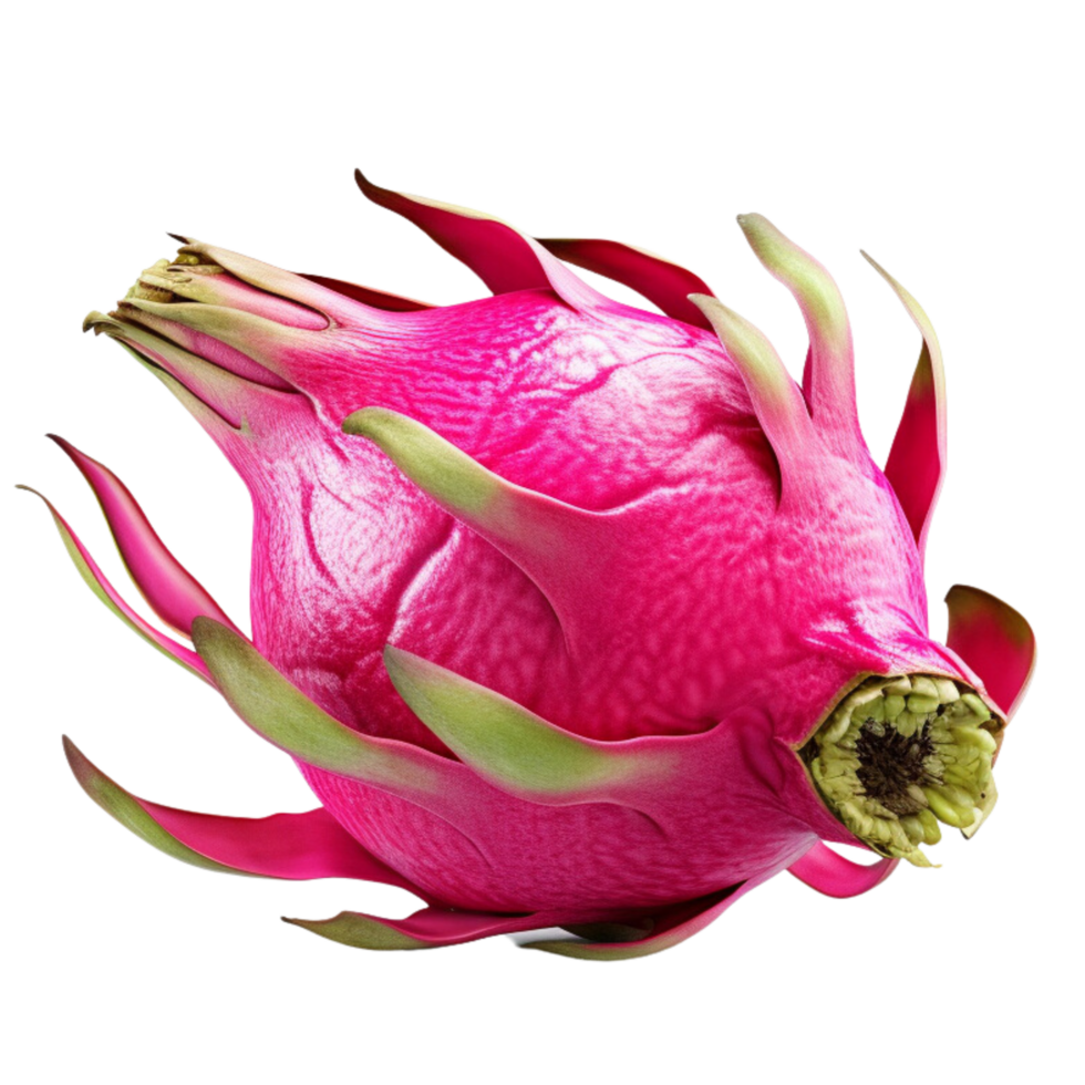 Dragon fruit clip art 34882167 PNG