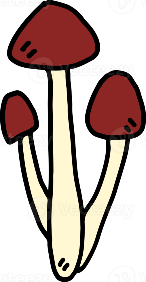 The Mushroom drawing free hand image for food concept. png