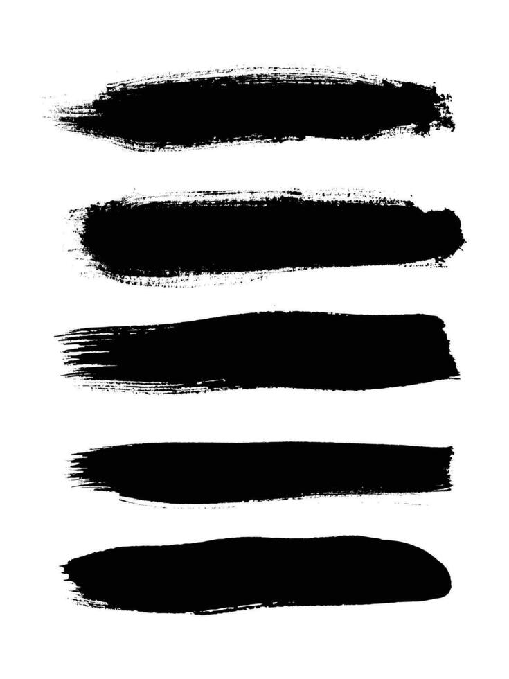 Brush Strokes ink splashes collection vector