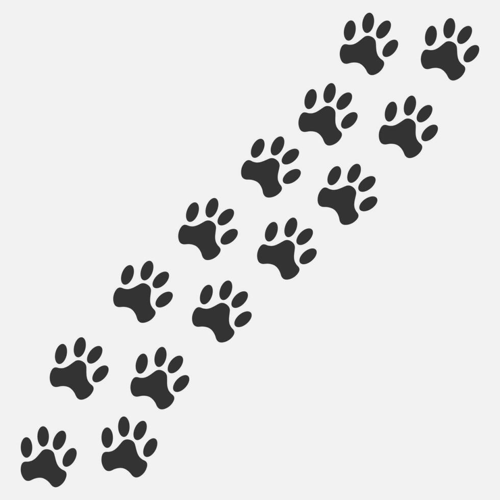animal sendero sendero perro o gato patas vector