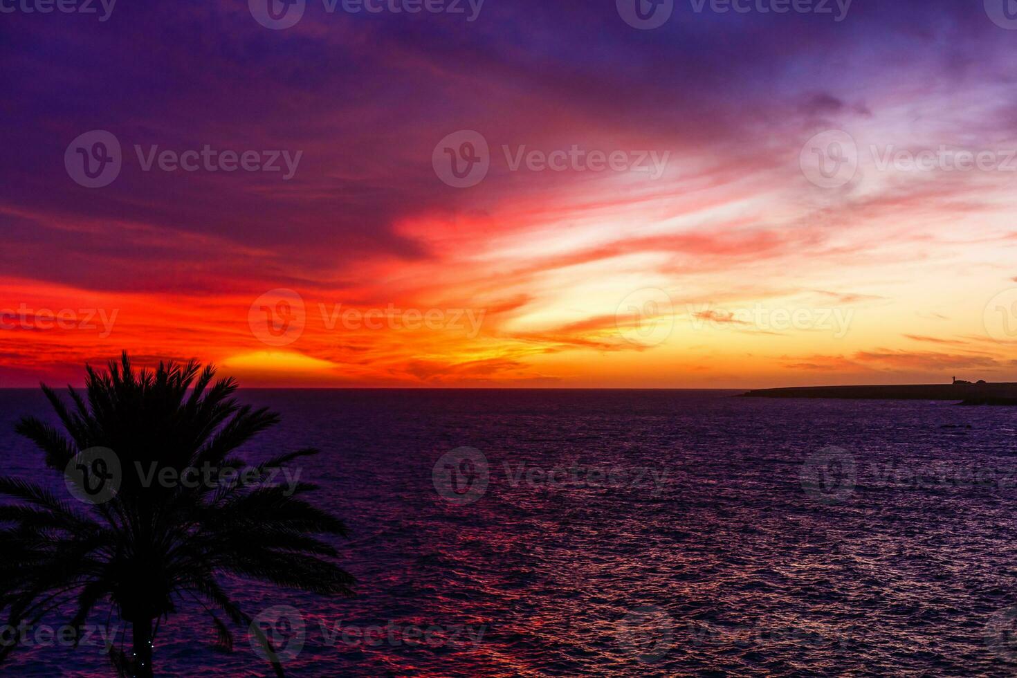 Palm tree silhouette during sunset in canary islands photo