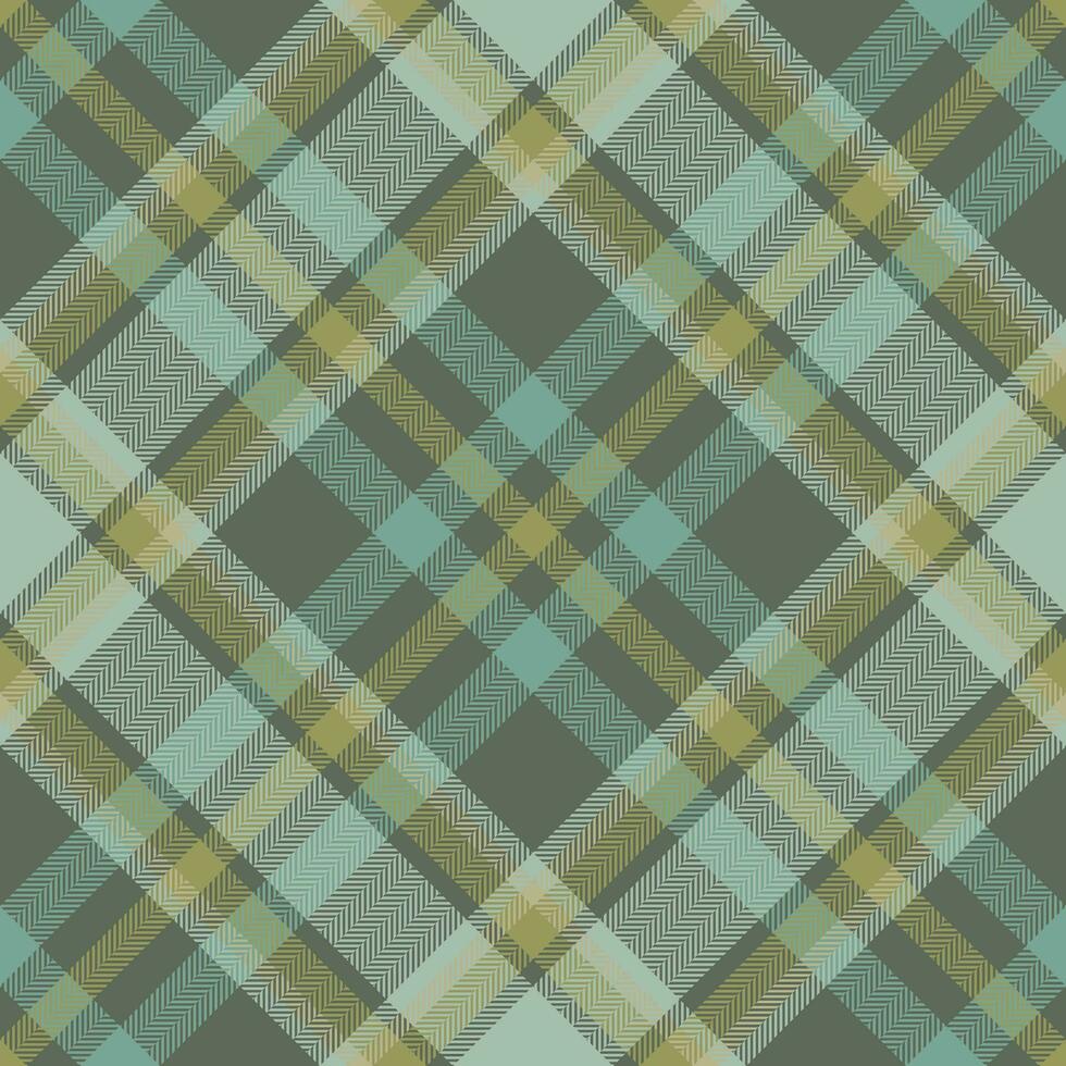 Plaid pattern vector. Check fabric texture. Seamless textile design for clothes, paper print. vector