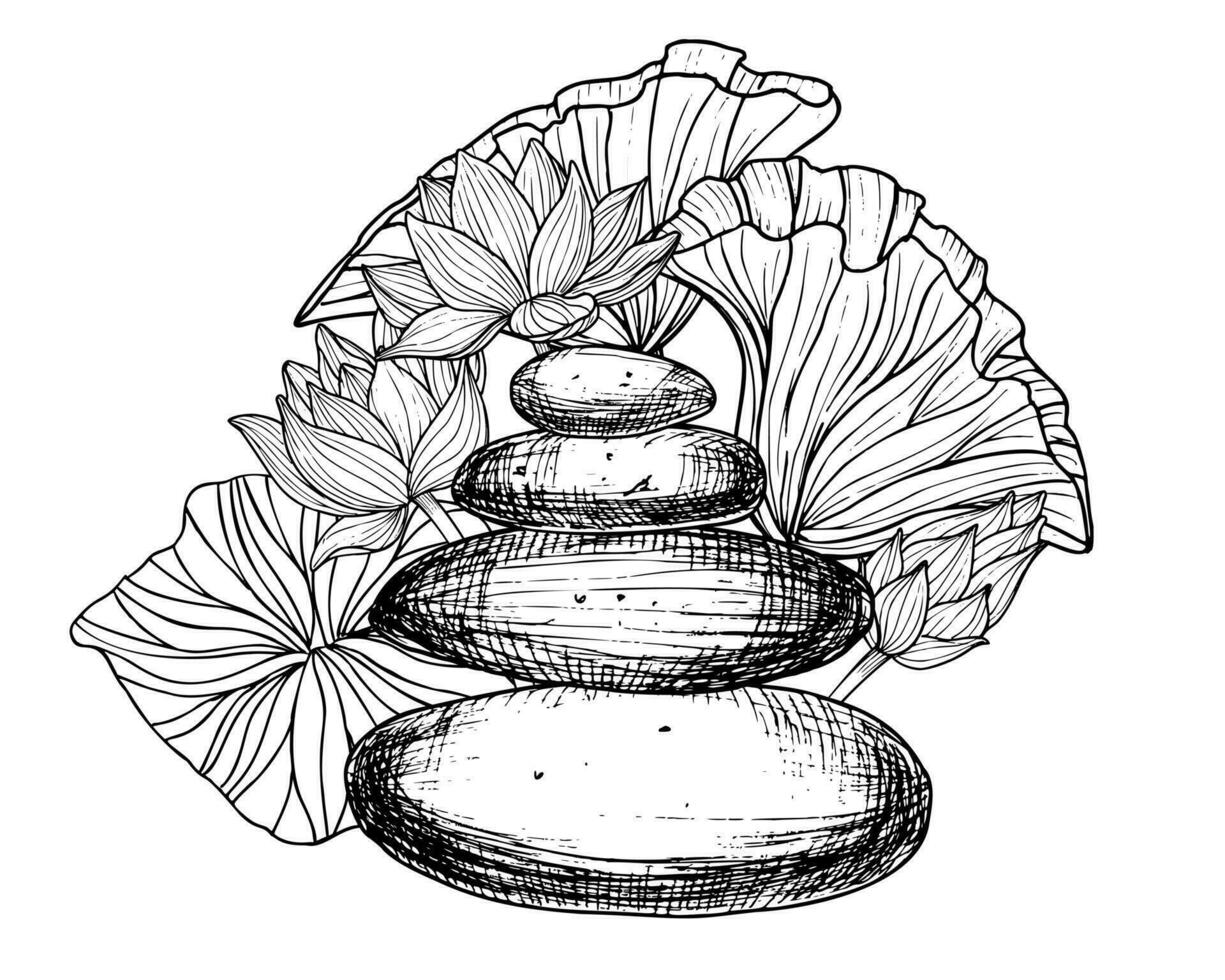 Stack of flat Pebbles with pink Lotuses and leaves. Hand drawn vector illustration of balancing stones and water lily on white isolated background. Linear drawing of rocks for meditation and Zen