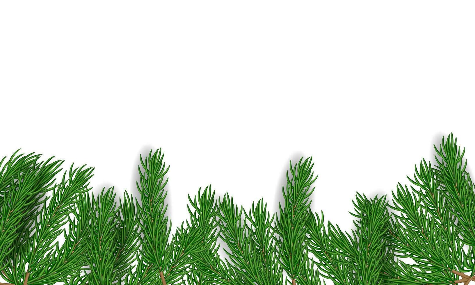 Green natural background with pine. -  Vector. vector